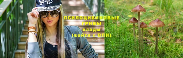 соль ск Елизово