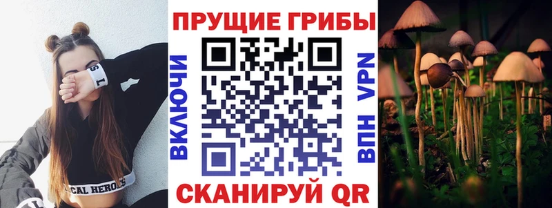 Псилоцибиновые грибы Magic Shrooms  Ачинск 